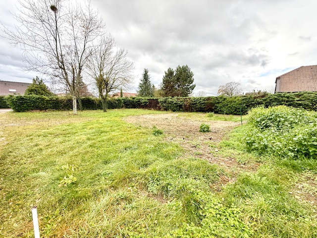 Agence immobilière de Matesa Immobilier